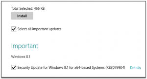 Install Update Screen