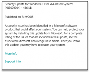 Microsoft Security Flaw Update