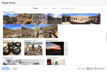 Google Photos Album Example