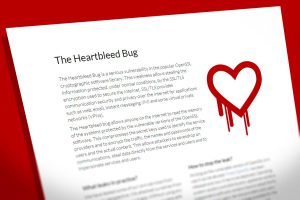 Heartbleed Bug Sample