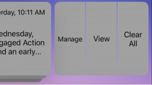 Ios Notification Options